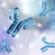 Chromatin Immunoprecipitation (ChIP)