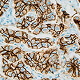 Immunohistochemistry (IHC)