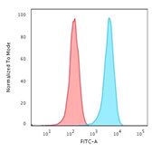 Flow Cytometry - Anti-Human Nuclear Antigen Antibody [235-1] (A250966) - Antibodies.com