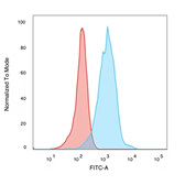 Flow Cytometry - Anti-Human Nuclear Antigen Antibody [235-1] (A250966) - Antibodies.com