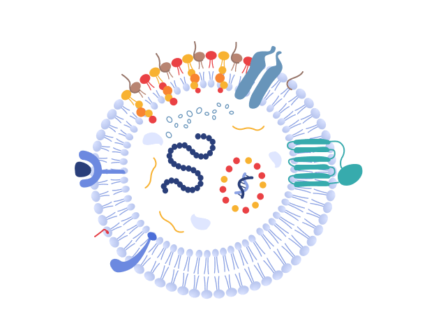 Exosome Products