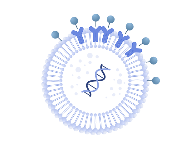 Membrane Nanoparticles (MNPs)