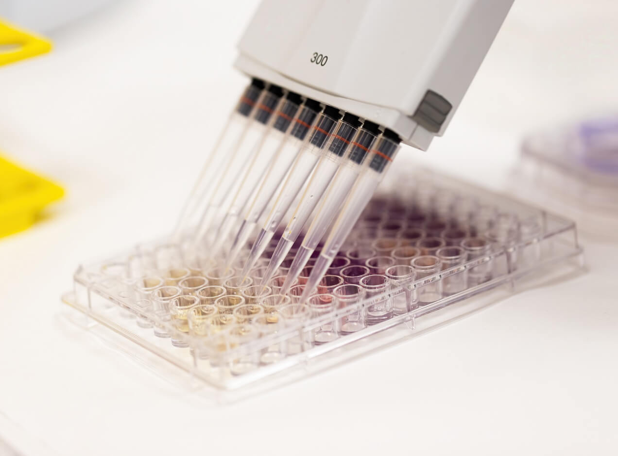 Resources ELISA Kits